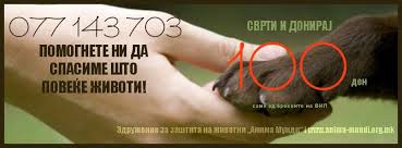 Анима Мунди: Трајановски да ја смени одлуката за волонтерите за животни - 18.02.14 - 16:16